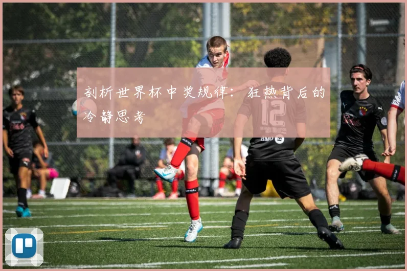 剖析世界杯中奖规律：狂热背后的冷静思考