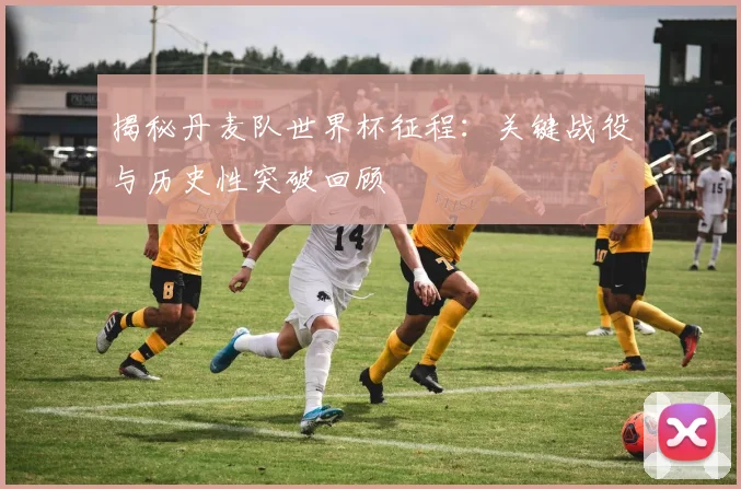 揭秘丹麦队世界杯征程：关键战役与历史性突破回顾
