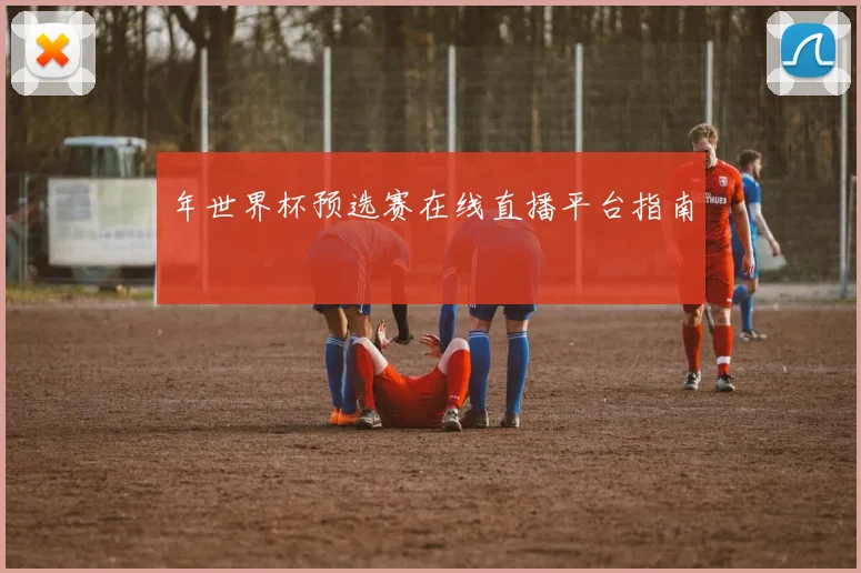 年世界杯预选赛在线直播平台指南