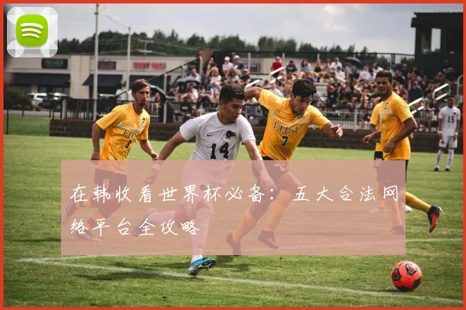 在韩收看世界杯必备：五大合法网络平台全攻略