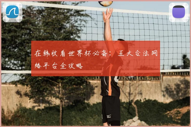 在韩收看世界杯必备：五大合法网络平台全攻略