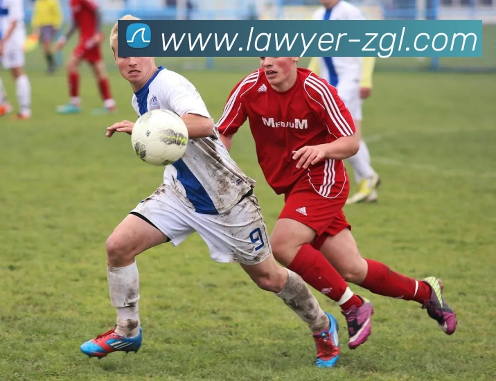 开云手机在线官网登录APP 封面图